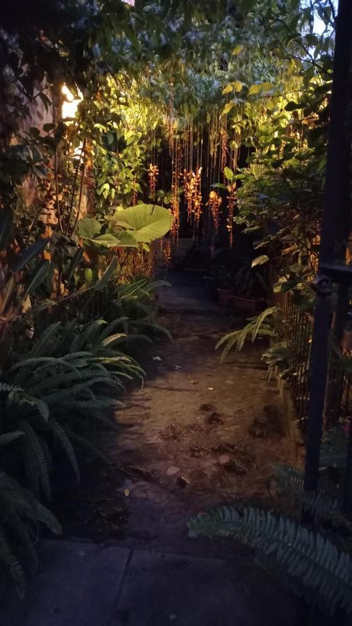 Accommodatie bij particulieren Casa Quetzalli, La Recoleccion